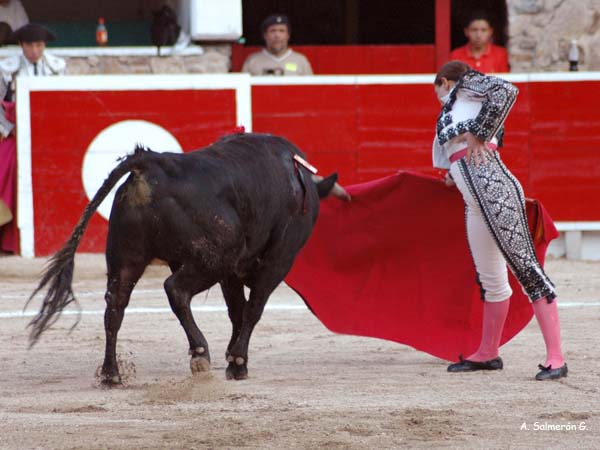 Embest�a arrollando