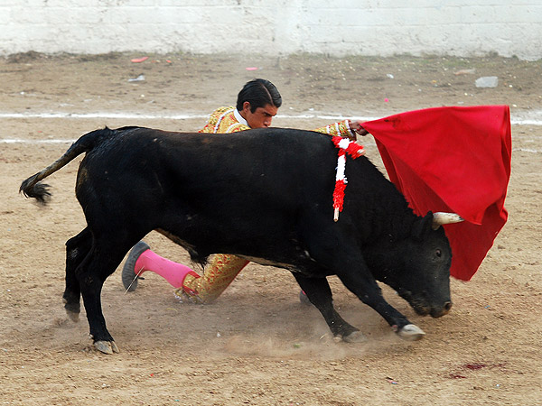 Poderoso inicio de Calita