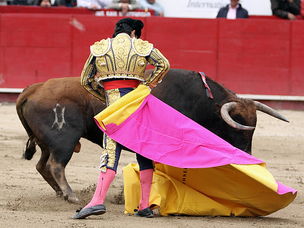 Excelente media ver�nica