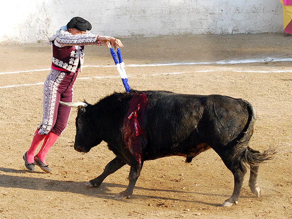 Buen par de Diego Bricio