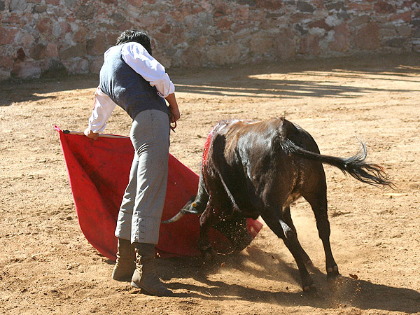 Una embestida profunda