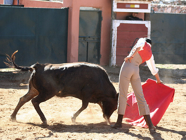 Gran ritmo de la vaca