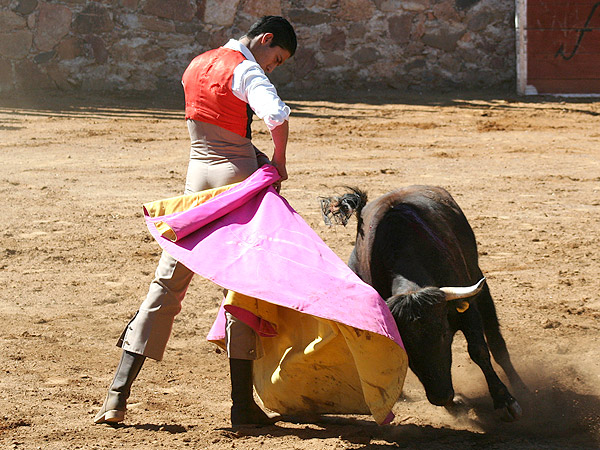La media de Sergio Flores