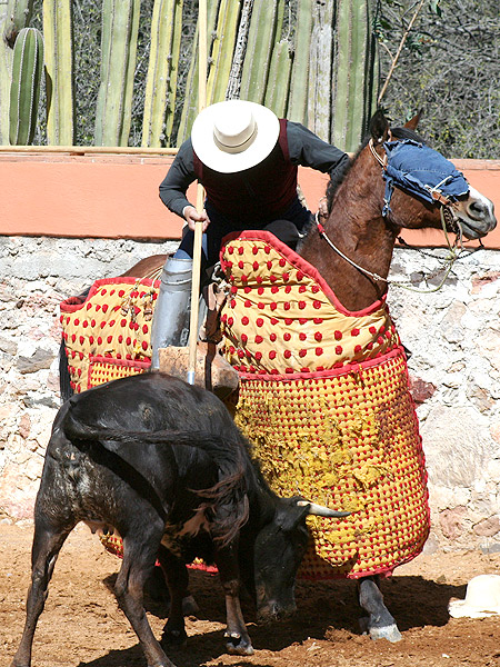 Humillada en el peto