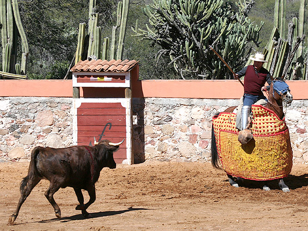 Hacia el picador Ricardo Pacheco