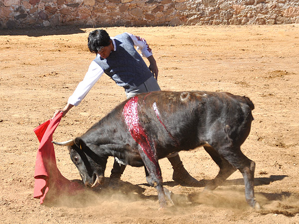 Alargando la embestida