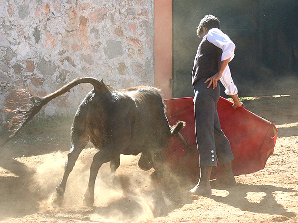 Sometiendo la fuerte embestida