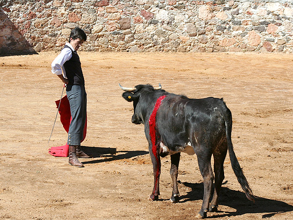 Coloc�ndose en el sitio