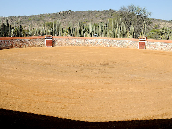 Placita con sabor mexicano