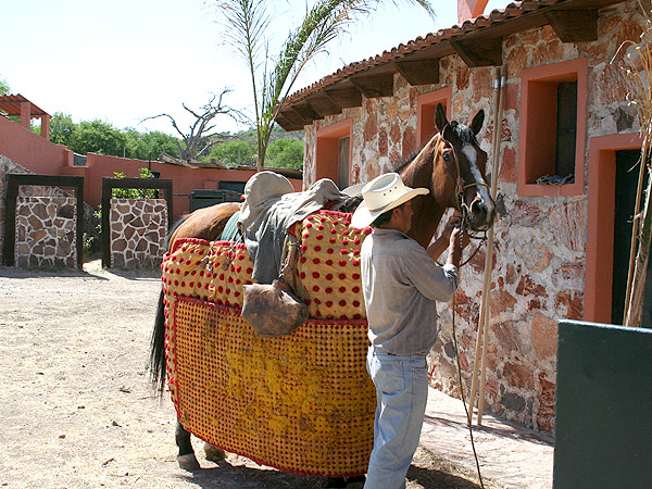 Preparando al caballo