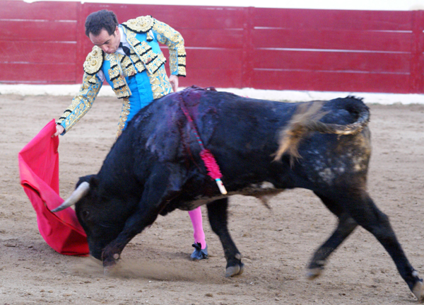 Un muletazo con pulso