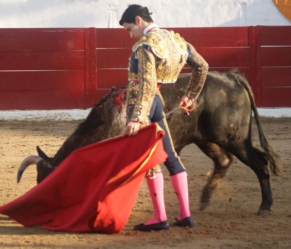 Detalle del tapat�o