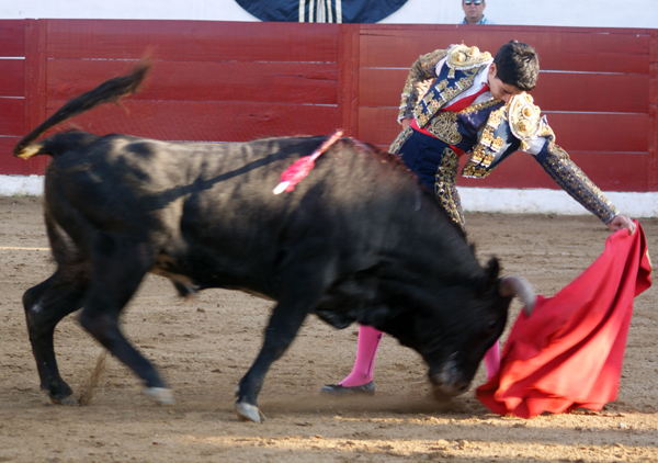 Natural de Oliver Godoy