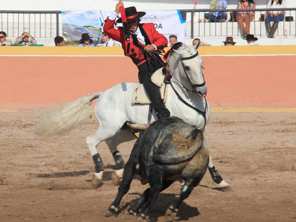Bastida en banderillas