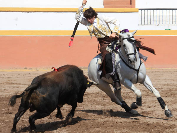 Metiendo la cara abajo
