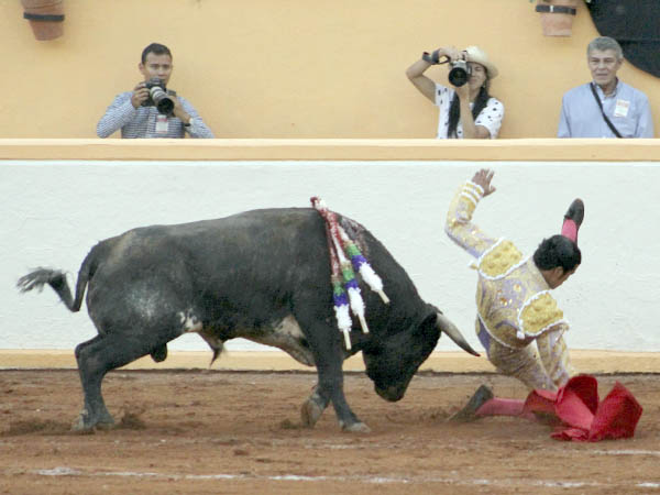 El ejemplar lo busc�