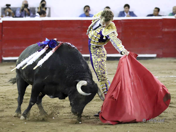 Sentimiento al natural