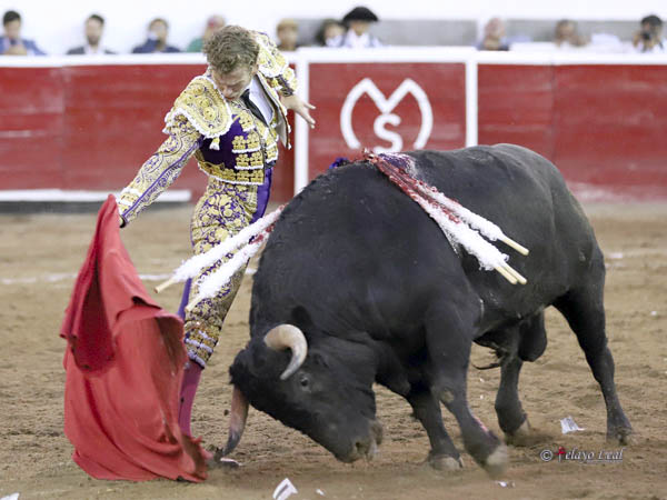 M�xima dimensi�n al pase