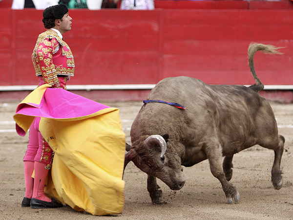 Media mirando al tendido