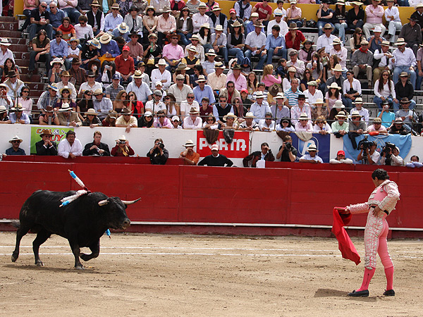 Estoico, en los medios