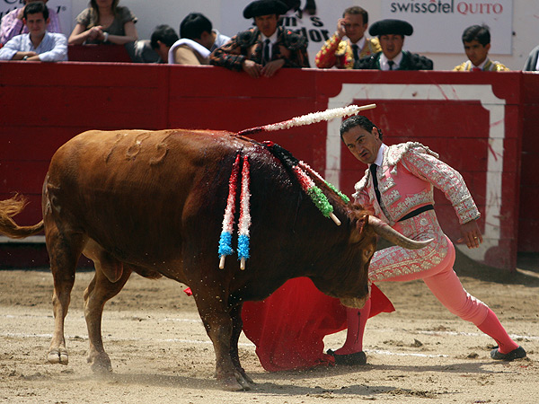 Quebrantando la embestida