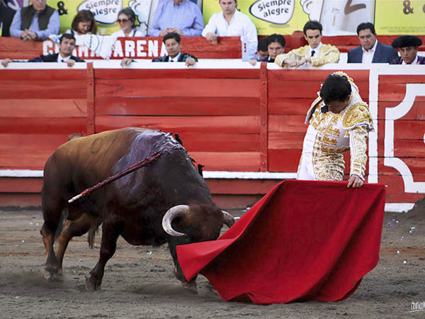 De Castlla, lo ms dstacado