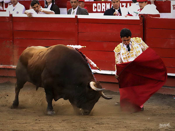 Doblones en el prlogo