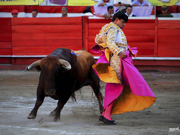 Quite por chicuelinas