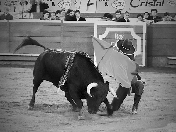 Remate rodilla en tierra