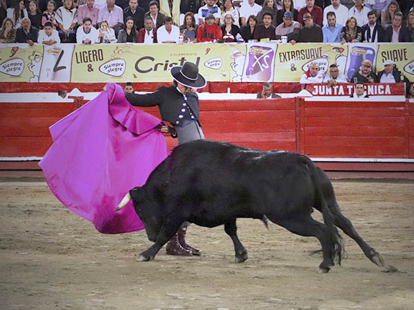 Evocando al maestro de Saltillo