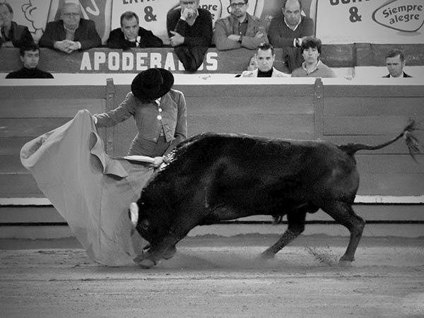 Al hilo de las tablas