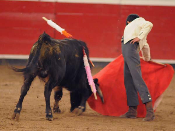 Sebasti�n Palomo con sello