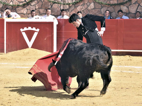 En el centro del ruedo
