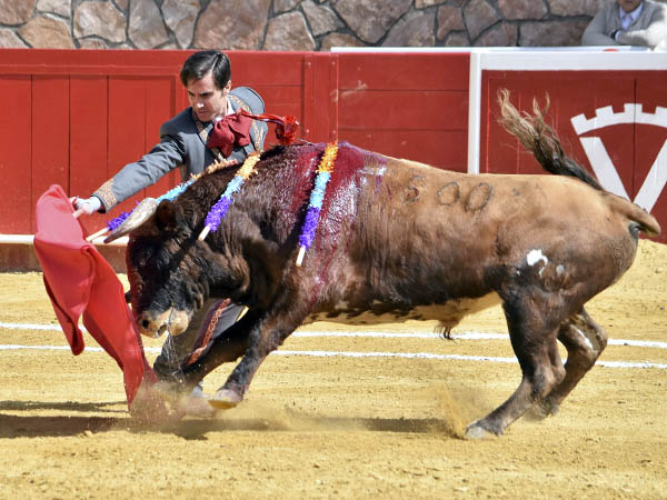 Mauricio, sometiendo al castao