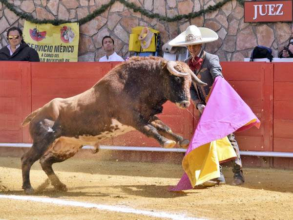 Atemperando la embestida