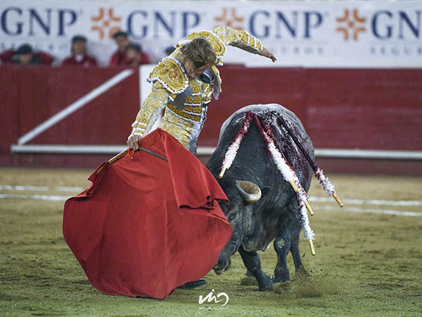 Poca suerte en su lote