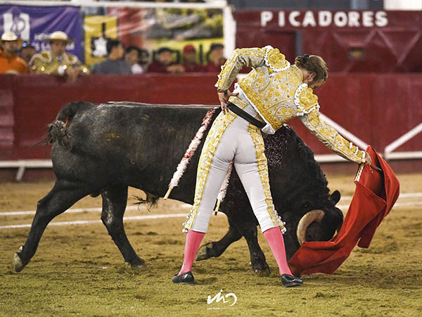 Metido en la canasta