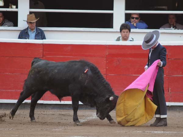 Las ver�nicas de Juan Pablo