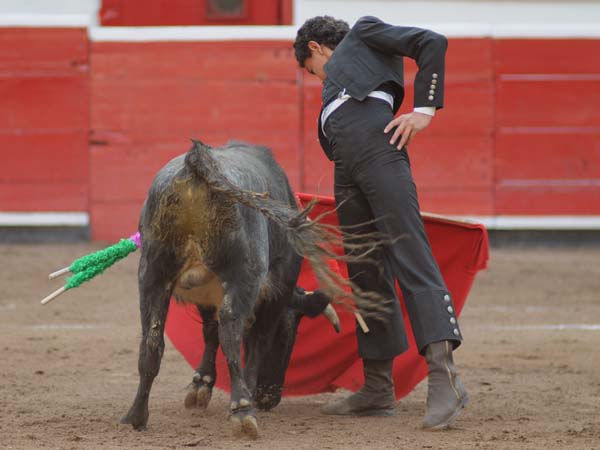 Brandon Campos un ap�ndice