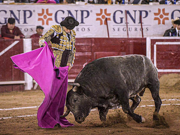 Sald�var, a la ver�nica