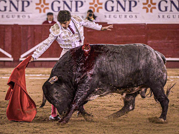 Acompa�ando con la voz