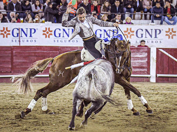 Fundidos jinete y montura