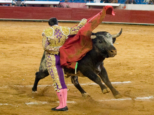 Ajustada manoletina de Orozco (S.H)