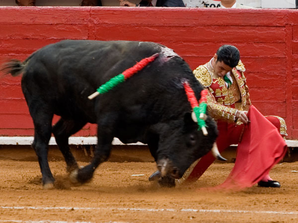 Inicio por abajo   (S.H)