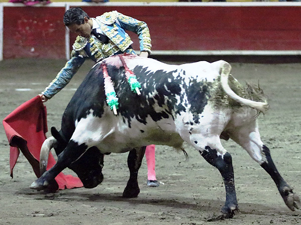 Calidad en la embestida