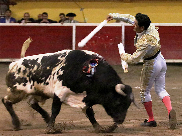 Impresionantes facultades