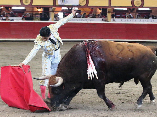 Importante Faena a un To