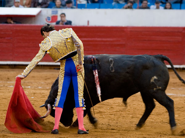 Al natural, soberbio  (S.H)