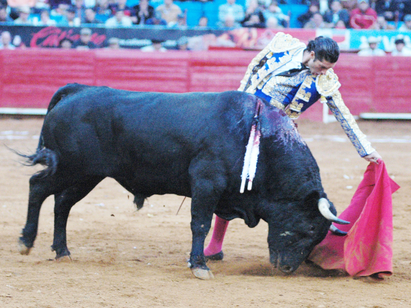 Se impuso al toro  (T.A)