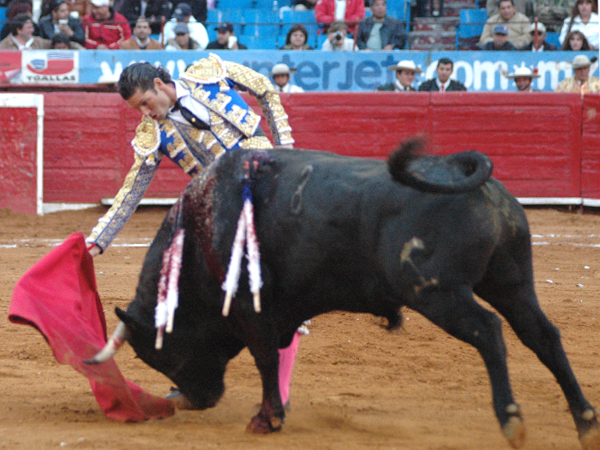 Con la derecha se gust�  (T.A)